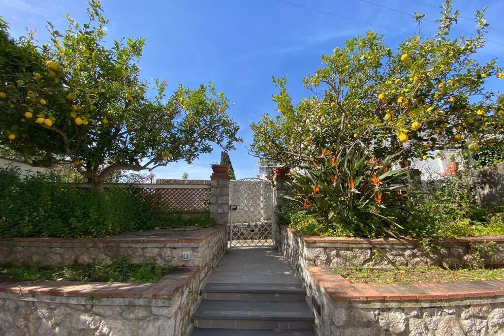 I Limoni Capri Apartment Bagian luar foto